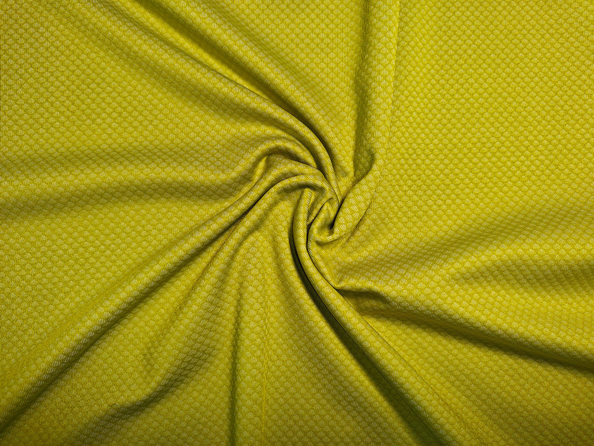 滌陽氨綸小提花 