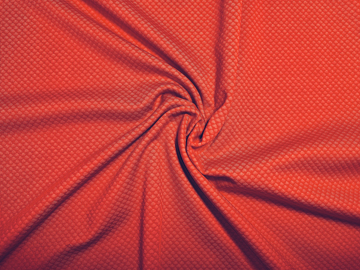 滌陽氨綸小提花 