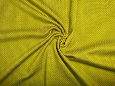 滌陽(yáng)氨綸小提花 